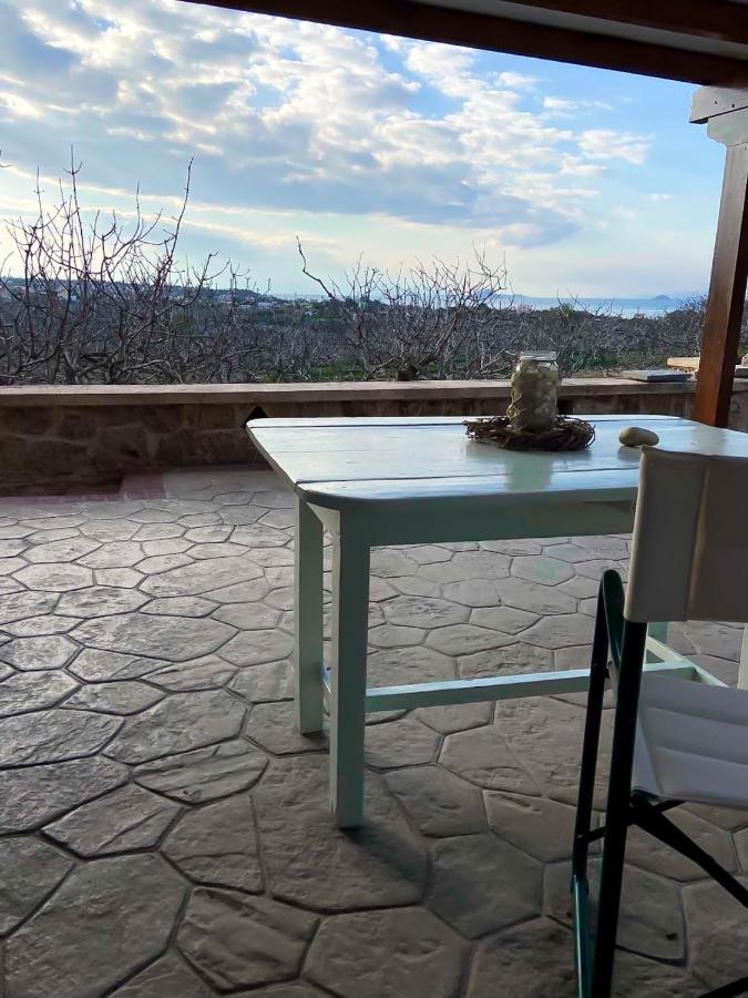Pistachio Guesthouse, Παραδοσιακός Ξενώνας Vathí Екстериор снимка